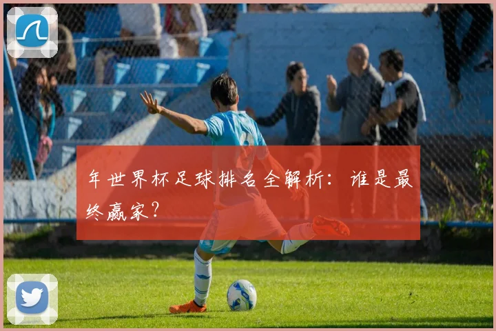 年世界杯足球排名全解析：谁是最终赢家？
