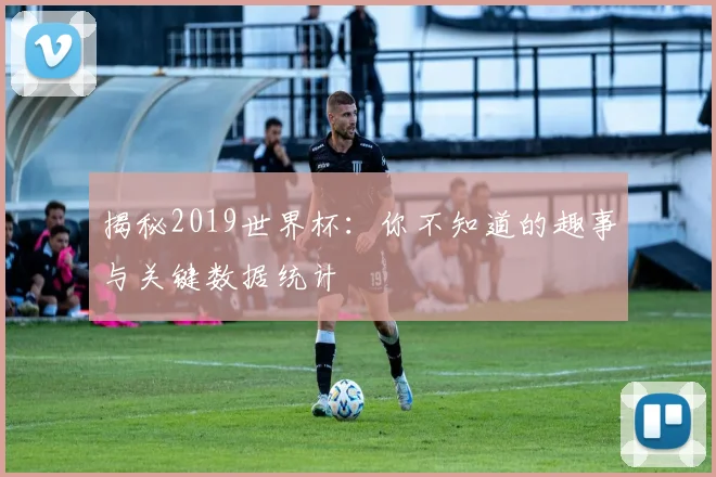 揭秘2019世界杯：你不知道的趣事与关键数据统计